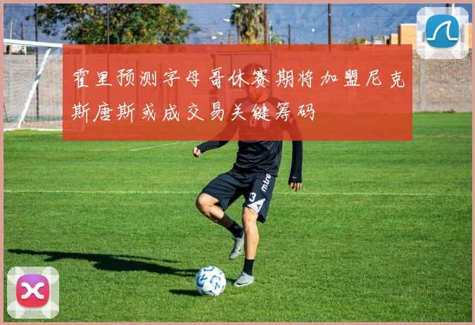 霍里预测字母哥休赛期将加盟尼克斯唐斯或成交易关键筹码